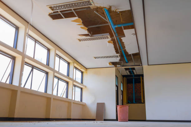 Best Residential water damage restoration  in Killian, LA