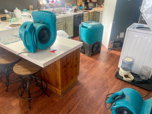  Killian, LA Water damage restoration Pros
