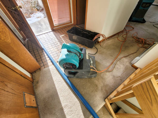 Best Sewage cleanup and water damage restoration  in Killian, LA