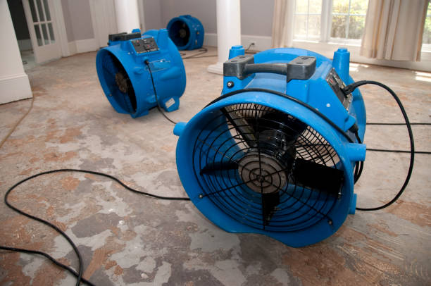 Best Water damage restoration near me  in Killian, LA