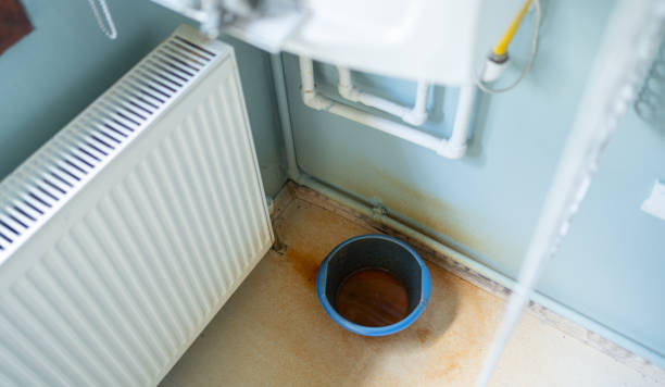 Best Basement water damage restoration  in Killian, LA